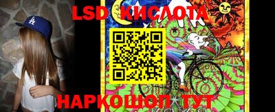меф Кингисепп