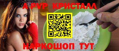 меф Кингисепп
