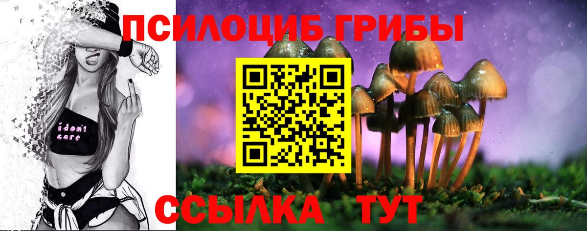 Псилоцибиновые грибы Psilocybine cubensis Кумертау